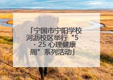 宁国市宁阳学校河沥校区举行“5・25 心理健康周”系列活动