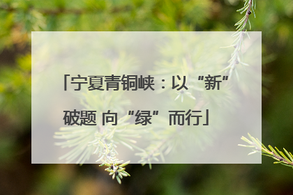 宁夏青铜峡：以“新”破题 向“绿”而行