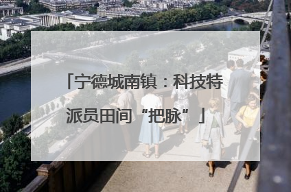 宁德城南镇：科技特派员田间“把脉”