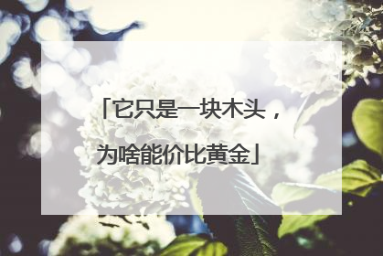它只是一块木头，为啥能价比黄金