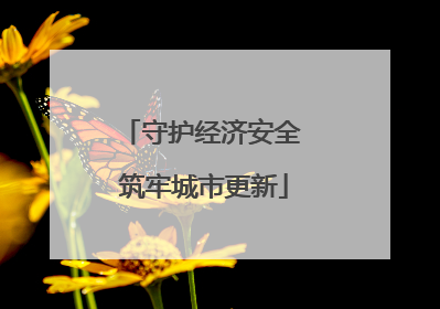 守护经济安全 筑牢城市更新