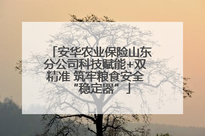 安华农业保险山东分公司科技赋能+双精准 筑牢粮食安全“稳定器”