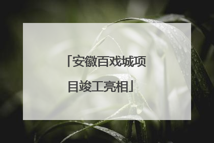安徽百戏城项目竣工亮相