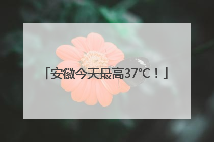 安徽今天最高37℃！