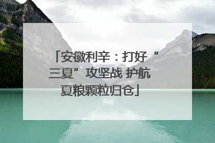 安徽利辛：打好“三夏”攻坚战 护航夏粮颗粒归仓