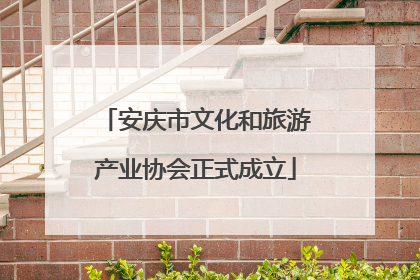 安庆市文化和旅游产业协会正式成立