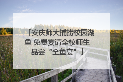 安庆师大捕捞校园湖鱼 免费宴请全校师生品尝“全鱼宴”