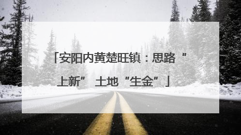安阳内黄楚旺镇：思路“上新” 土地“生金”
