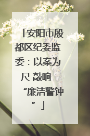 安阳市殷都区纪委监委：以案为尺 敲响 “廉洁警钟”