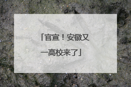 官宣！安徽又一高校来了