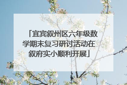 宜宾叙州区六年级数学期末复习研讨活动在叙府实小顺利开展