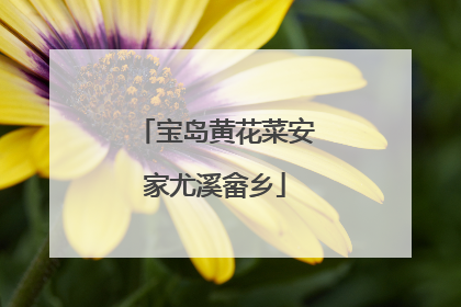 宝岛黄花菜安家尤溪畲乡