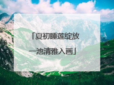 夏初睡莲绽放 一池清雅入画