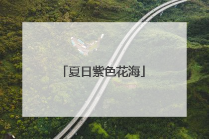夏日紫色花海
