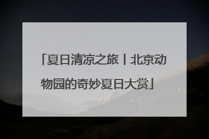 夏日清凉之旅丨北京动物园的奇妙夏日大赏