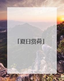 夏日赏荷
