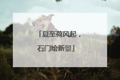 夏至荷风起，石门绘新景