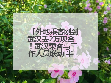 外地乘客刚到武汉丢2万现金！武汉乘客与工作人员联动 半小时完璧归赵