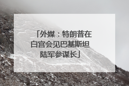 外媒：特朗普在白宫会见巴基斯坦陆军参谋长