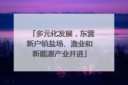 多元化发展，东营新户镇盐场、渔业和新能源产业并进