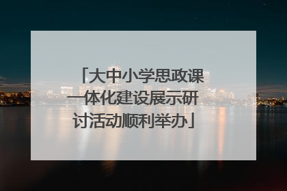 大中小学思政课一体化建设展示研讨活动顺利举办