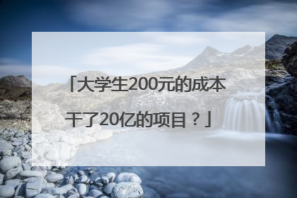 大学生200元的成本干了20亿的项目？