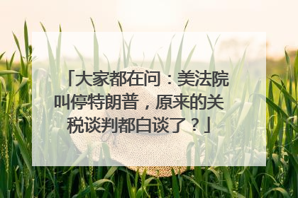 大家都在问：美法院叫停特朗普，原来的关税谈判都白谈了？