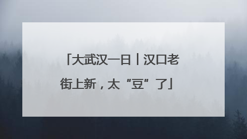 大武汉一日︱汉口老街上新，太“豆”了
