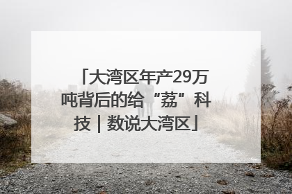 大湾区年产29万吨背后的给“荔”科技｜数说大湾区