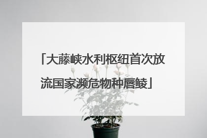大藤峡水利枢纽首次放流国家濒危物种唇鲮