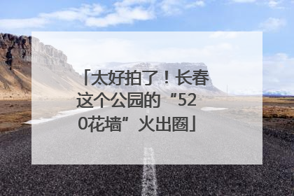 太好拍了！长春这个公园的“520花墙”火出圈