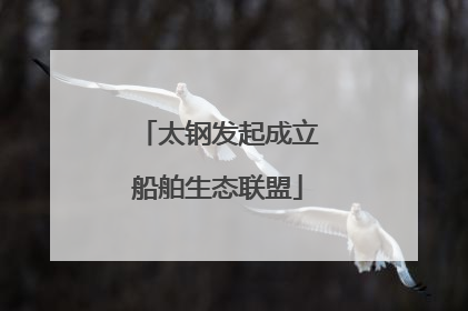 太钢发起成立船舶生态联盟