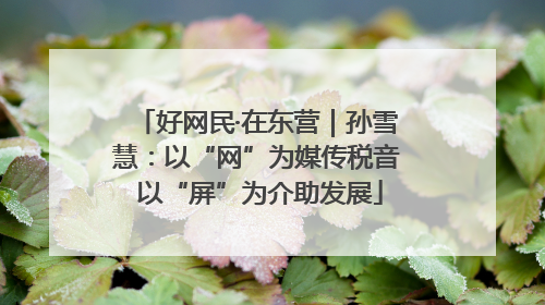 好网民·在东营｜孙雪慧：以“网”为媒传税音 以“屏”为介助发展