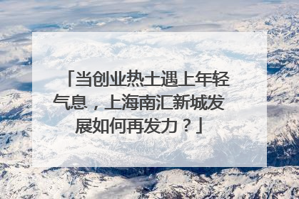 当创业热土遇上年轻气息，上海南汇新城发展如何再发力？
