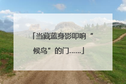 当藏蓝身影叩响“候鸟”的门……