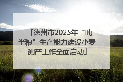 德州市2025年“吨半粮”生产能力建设小麦测产工作全面启动