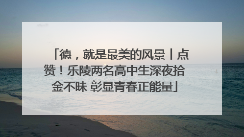 德，就是最美的风景丨点赞！乐陵两名高中生深夜拾金不昧 彰显青春正能量