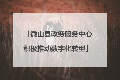 微山县政务服务中心积极推动数字化转型