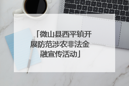 微山县西平镇开展防范涉农非法金融宣传活动