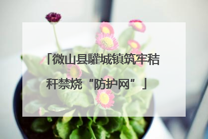 微山县驩城镇筑牢秸秆禁烧“防护网”