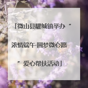 微山县驩城镇举办“浓情端午·圆梦微心愿”爱心帮扶活动