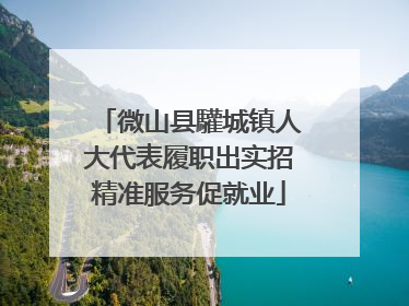 微山县驩城镇人大代表履职出实招精准服务促就业
