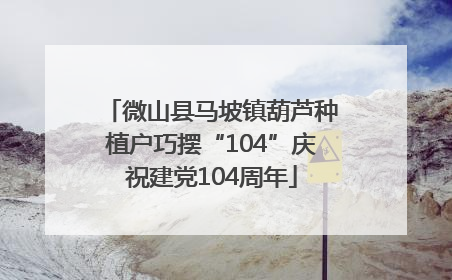 微山县马坡镇葫芦种植户巧摆“104”庆祝建党104周年