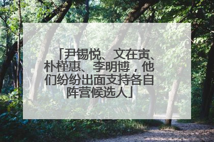 尹锡悦、文在寅、朴槿惠、李明博，他们纷纷出面支持各自阵营候选人