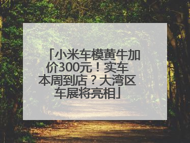 小米车模黄牛加价300元！实车本周到店？大湾区车展将亮相