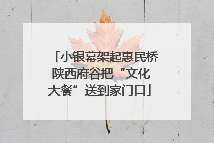 小银幕架起惠民桥 陕西府谷把“文化大餐”送到家门口