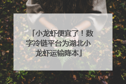 小龙虾便宜了！数字冷链平台为湖北小龙虾运输降本