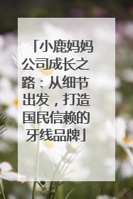 小鹿妈妈公司成长之路：从细节出发，打造国民信赖的牙线品牌