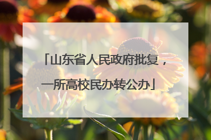 山东省人民政府批复，一所高校民办转公办