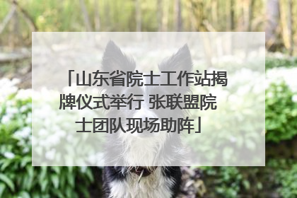 山东省院士工作站揭牌仪式举行 张联盟院士团队现场助阵